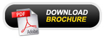 Gorilla Ladder Gorilla Mighty Brochure